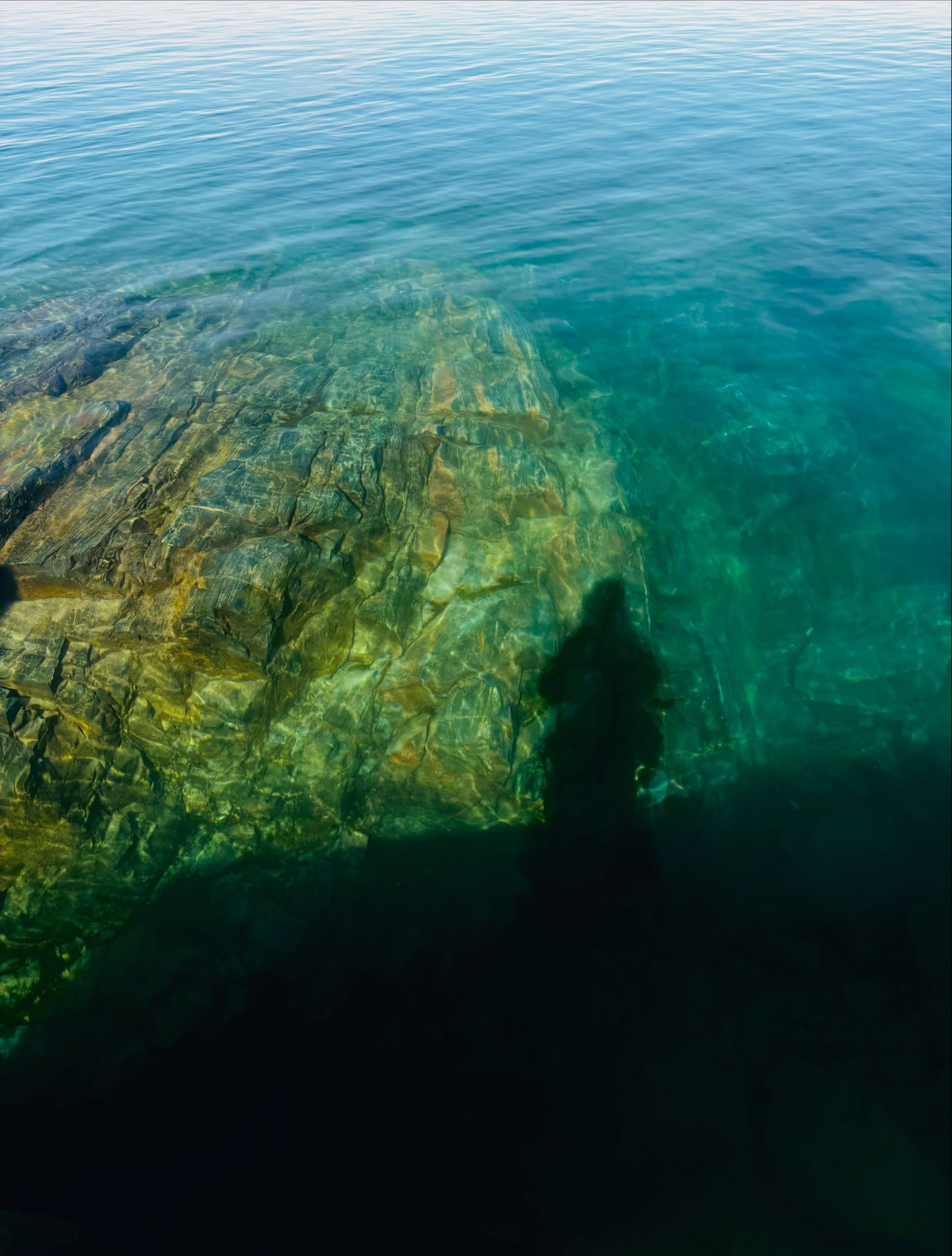 Photograph by Éli Laliberté
