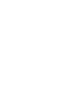 International Special Film Festival 2024, Budapest — official selection