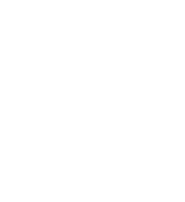 Prix Gémeaux 2010 — Nomination, Meilleur site Web pour une émission ou série
