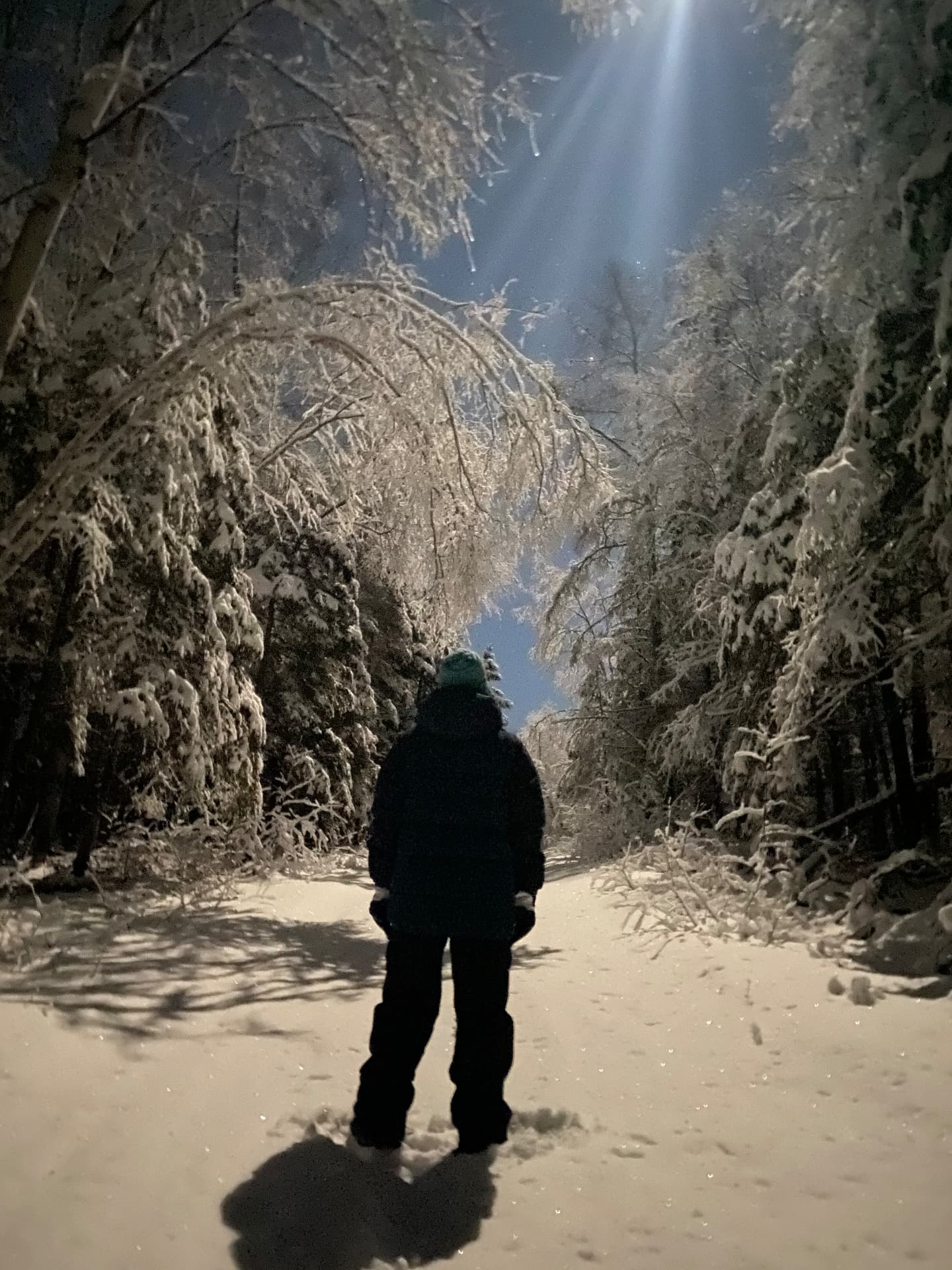 A figure on a snowy trail at night, lit from above